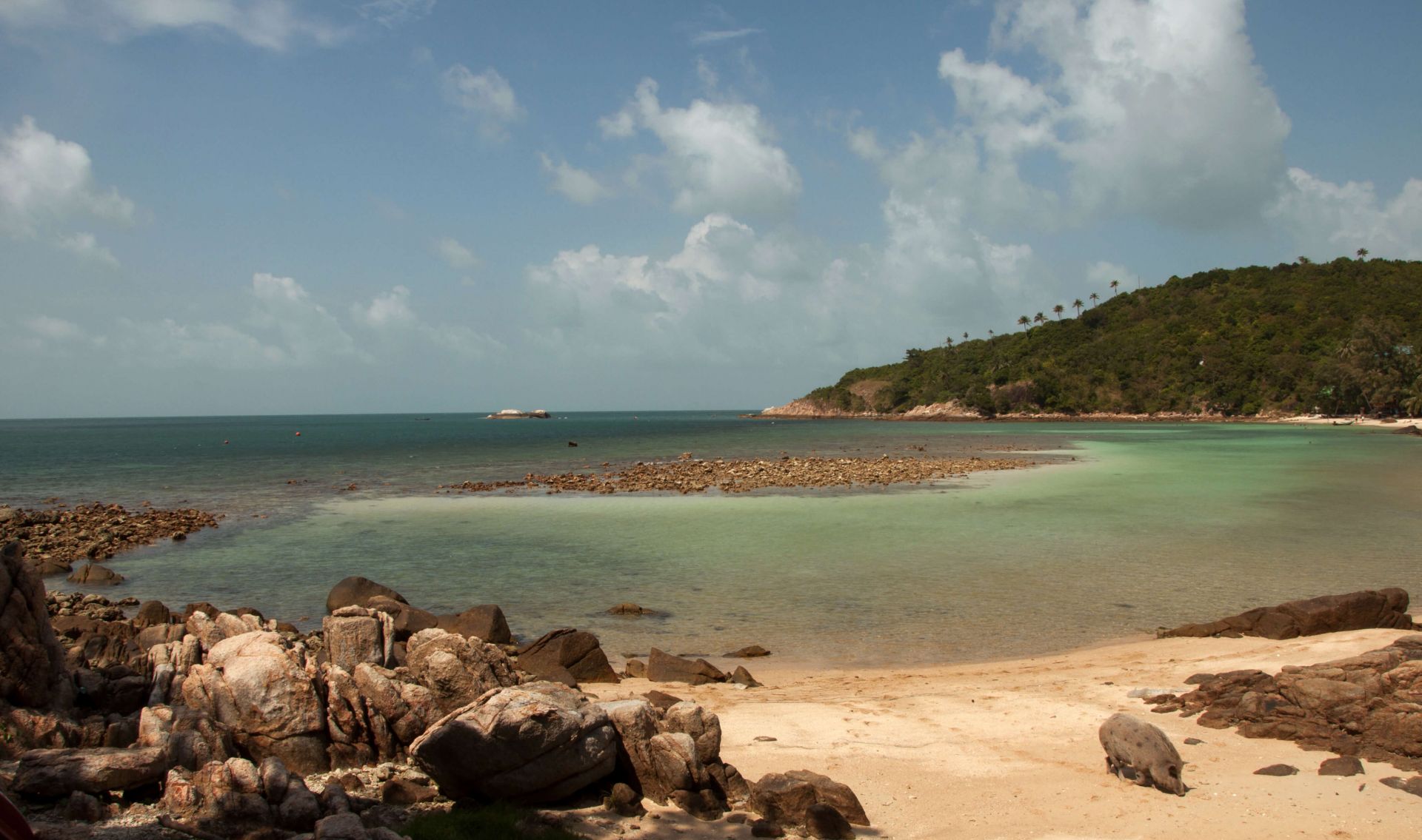 Phangan sous les Sunlights des Tropiques