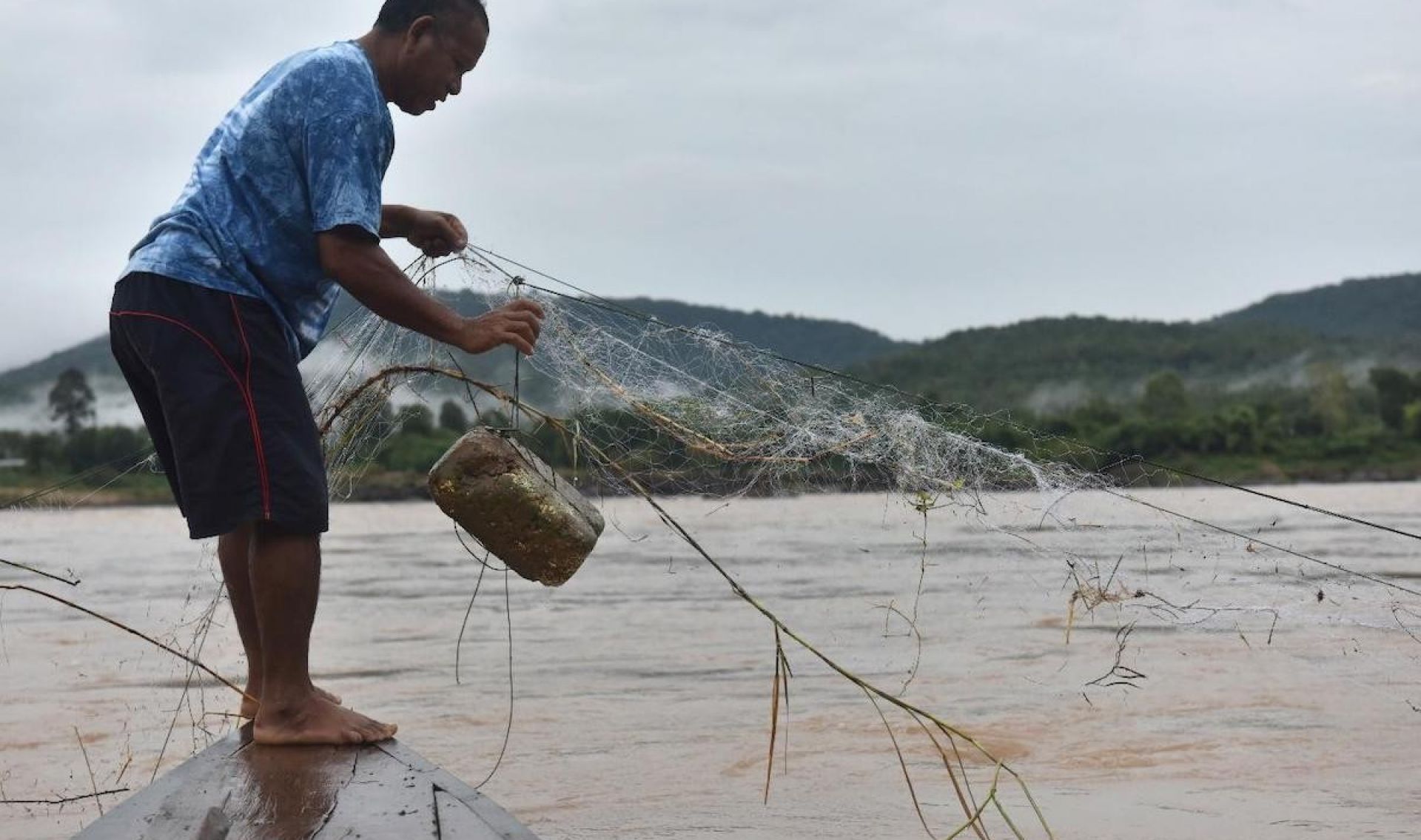 A blue Mekong means sinking biodiversity