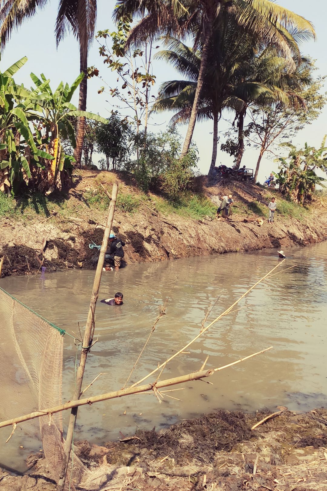 Pêche en rizières